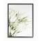 Stupell Industries White & Green Bright Natural Flower Photograph with Black Frame Wall Accent